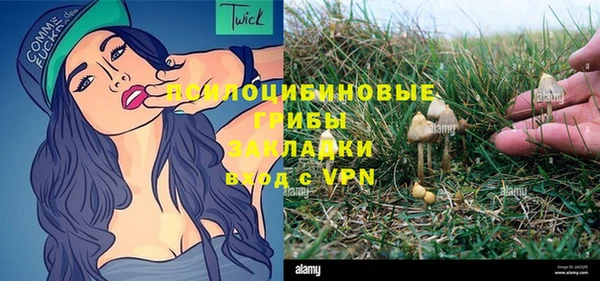 ALPHA-PVP Белокуриха