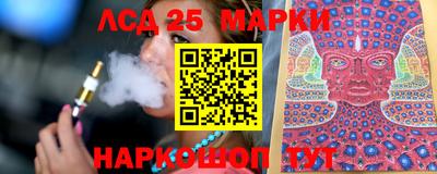 гидропоника Бердск