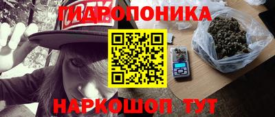 гидропоника Бердск