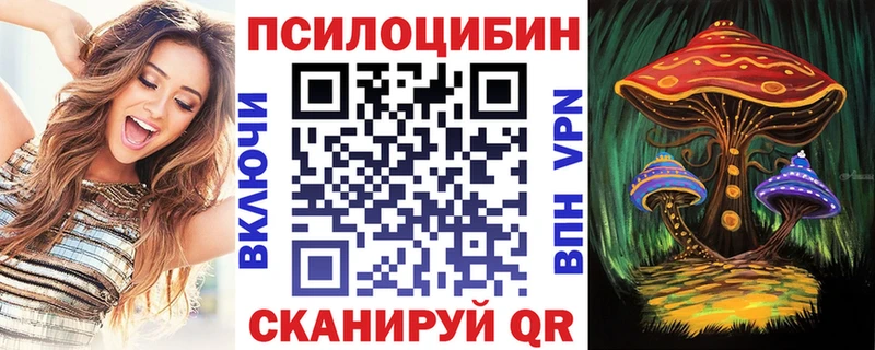 Псилоцибиновые грибы Cubensis  хочу наркоту  Великие Луки 