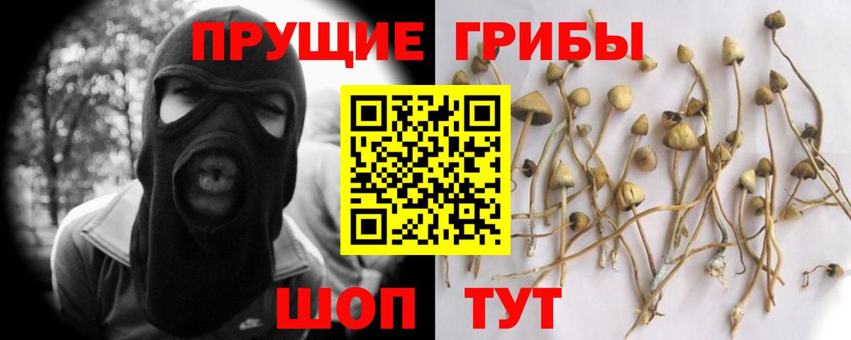 Псилоцибиновые грибы ЛСД Великие Луки